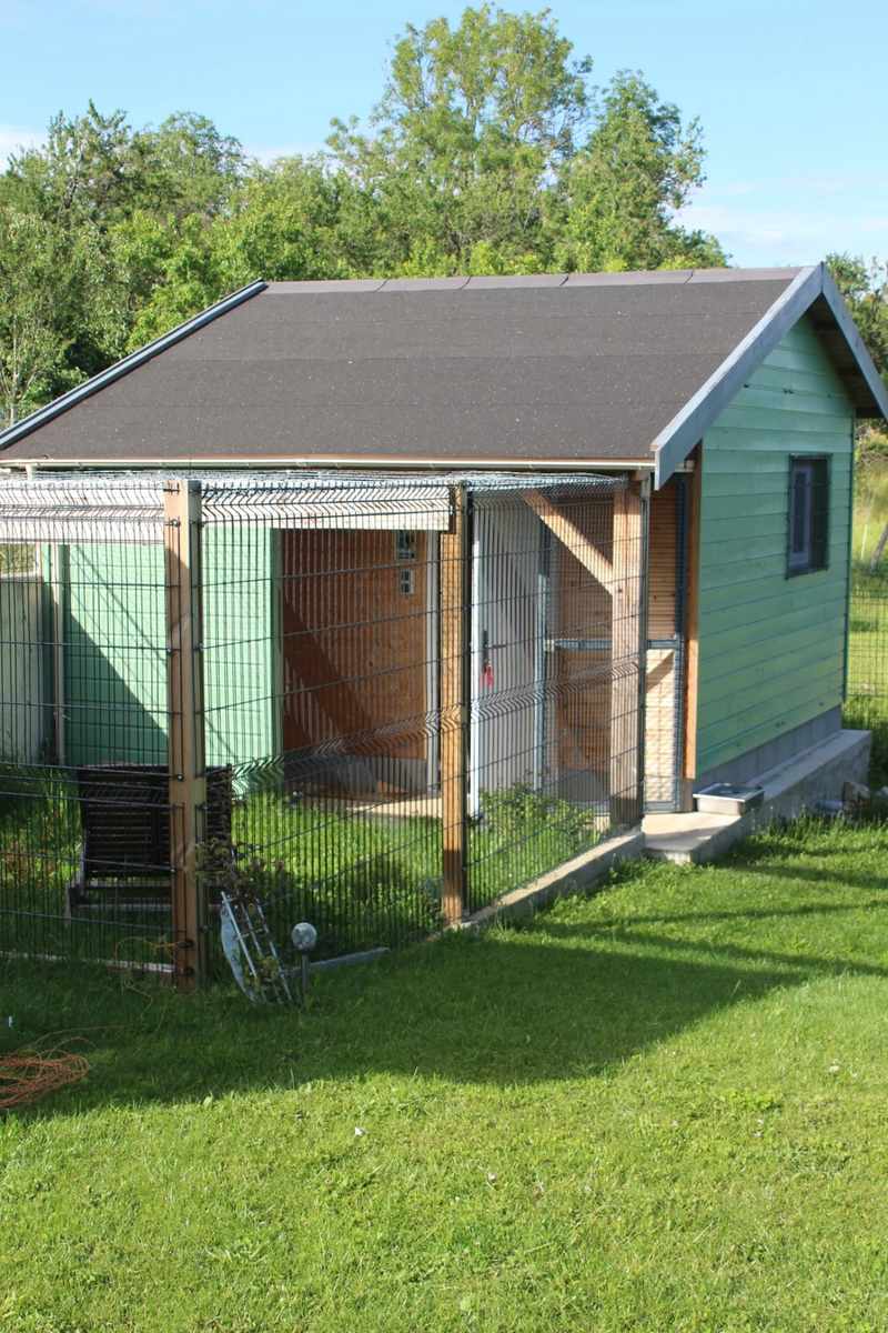 Espace extérieur de la pension au milieu de la verdure — poste d'observation