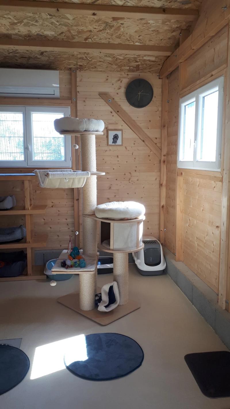 Intérieur du chalet — aménagements en hauteur